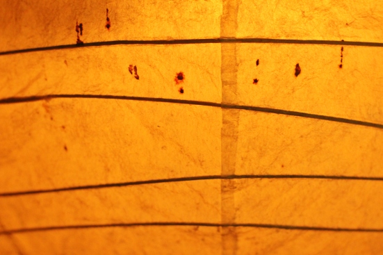 This is a close up picture of a paper lantern within the main temple where the Dainichi Buddha idol (deification of sunlight) resides. I actually wasn't suppose to take pictures buuuut, I couldn't read the sign that was in kanji.